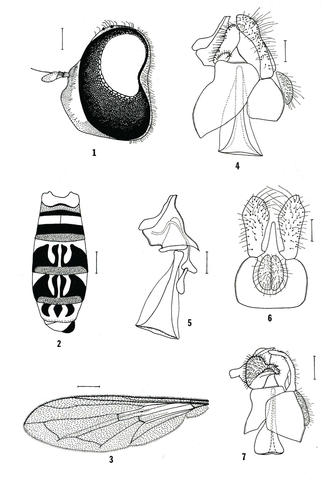 untitled-1_9.jpg